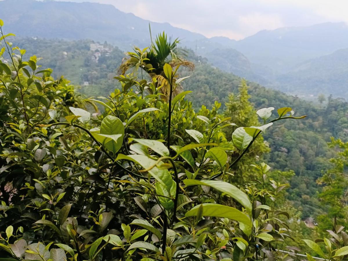 Grace Munnar Residency Bed and Breakfast Exterior foto